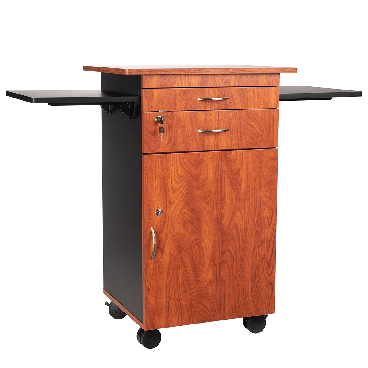 Multimedia Cart Schools In